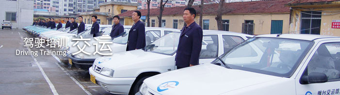 駕校服務